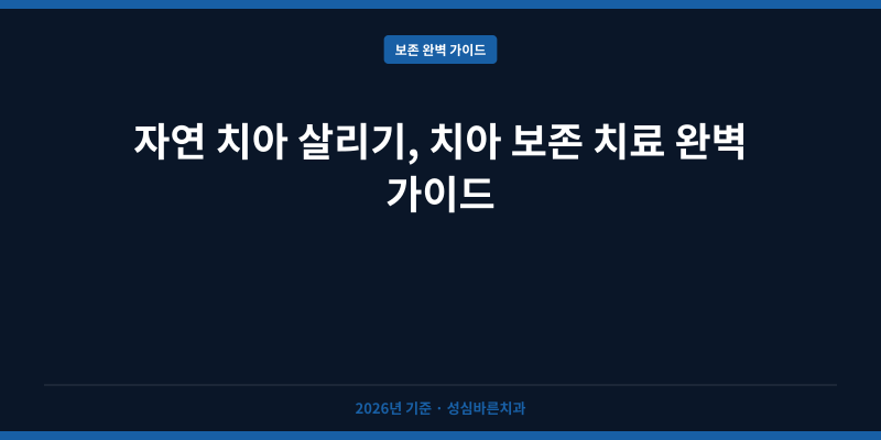 자연 치아 살리기, 치아 보존 치료 완벽 가이드